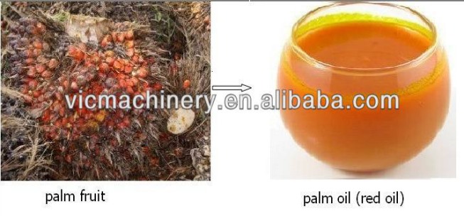 VIC-1 palm fruit oilpress quotation959.png