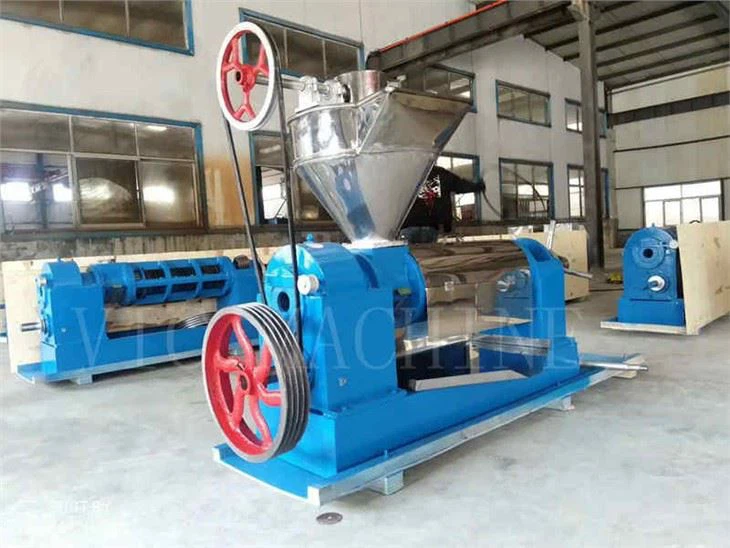 Big Capacity Seed Oil Press with Working Video 6YL-165